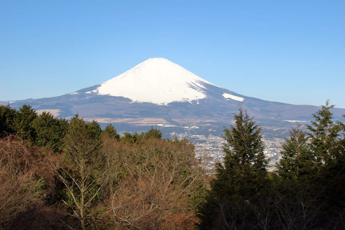 乙女峠バス停からの富士山の絶景！