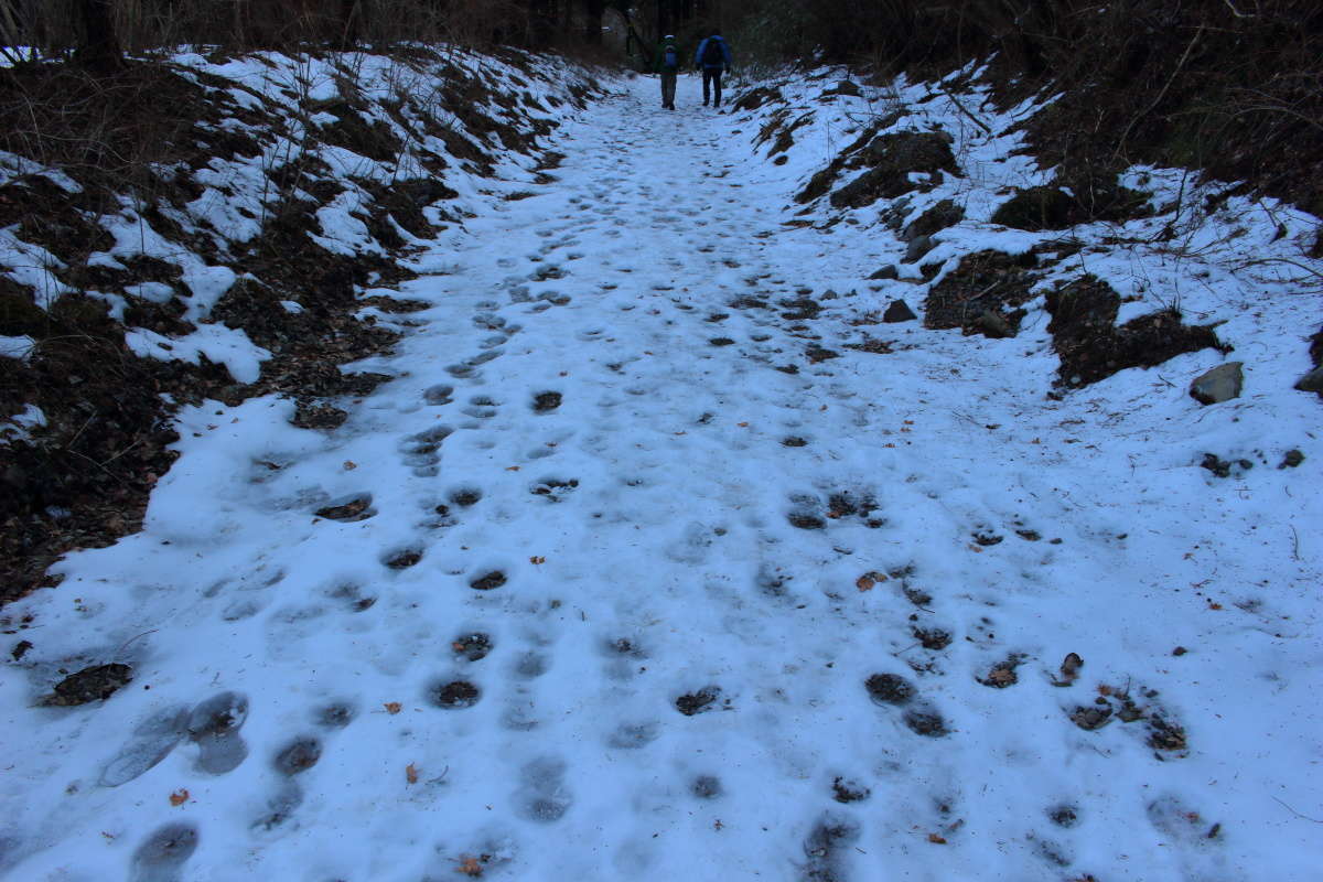 登山道までの林道には凍った残雪がありました