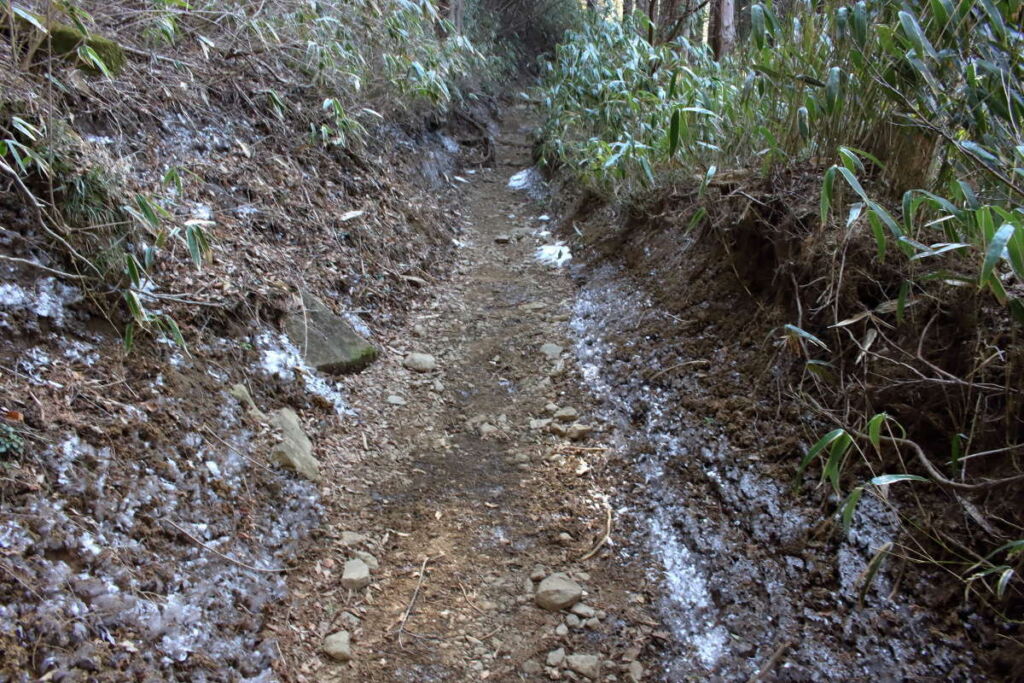 登山道に入ると雪はありませんでした