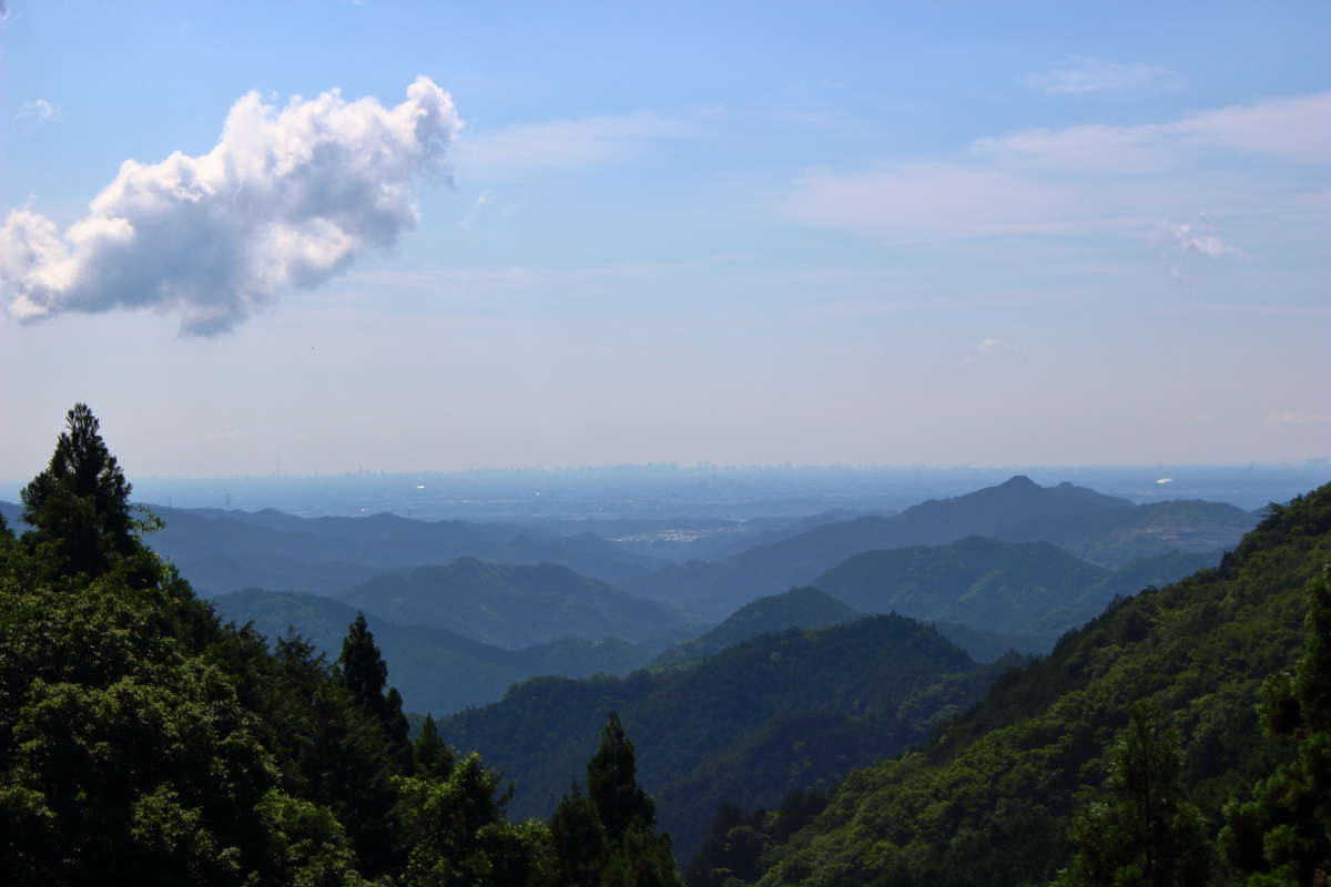 正丸峠からの眺め、埼玉の街並みを一望できます
