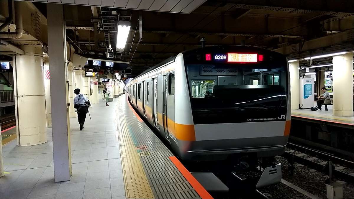 新宿駅から「ホリデー快速おくたま１号」に乗車、都民ハイカーにはおなじみの列車です