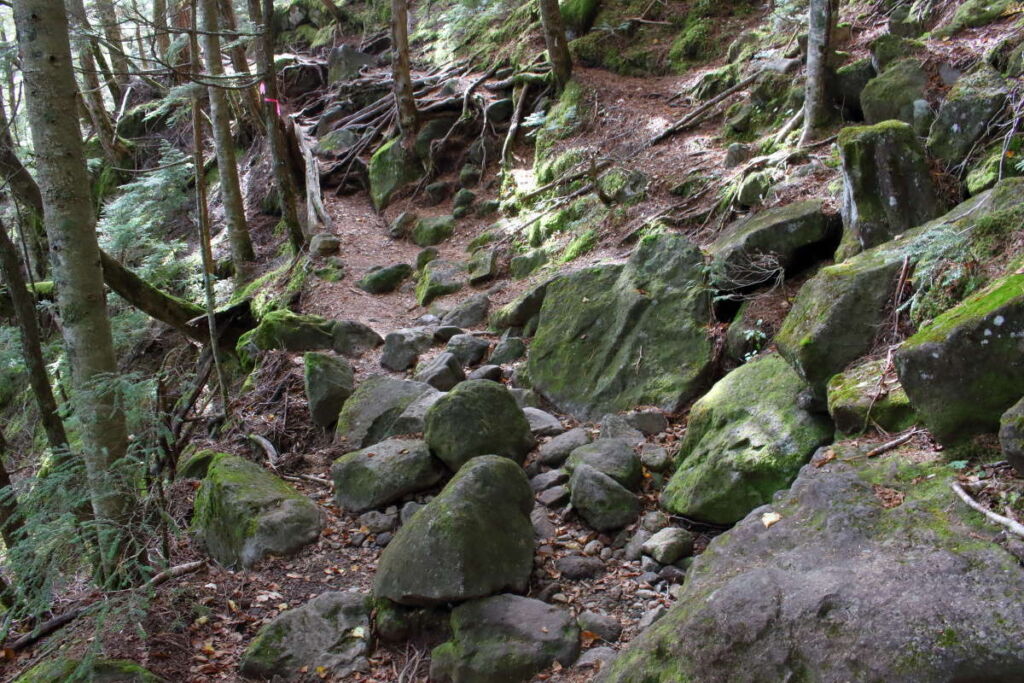 岩が多いながら傾斜は緩やかで歩きやすくなってきます