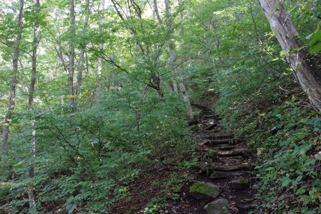 平標登山口から松出山へのルートは階段が整備されています