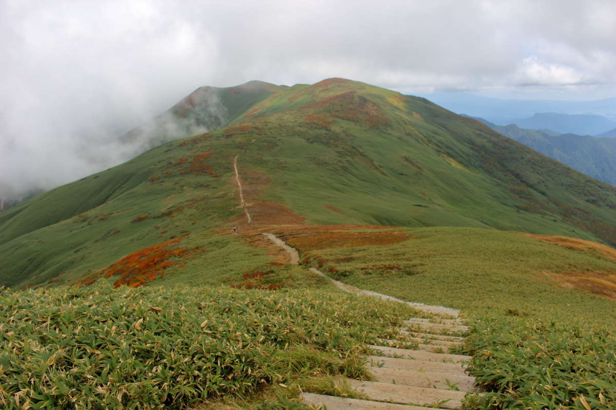 平標山山頂から仙ノ倉山への稜線を眺める