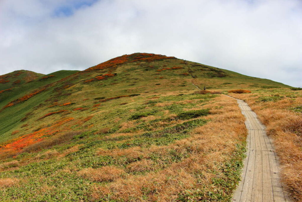 木道が続く仙ノ倉山への快適な稜線歩き