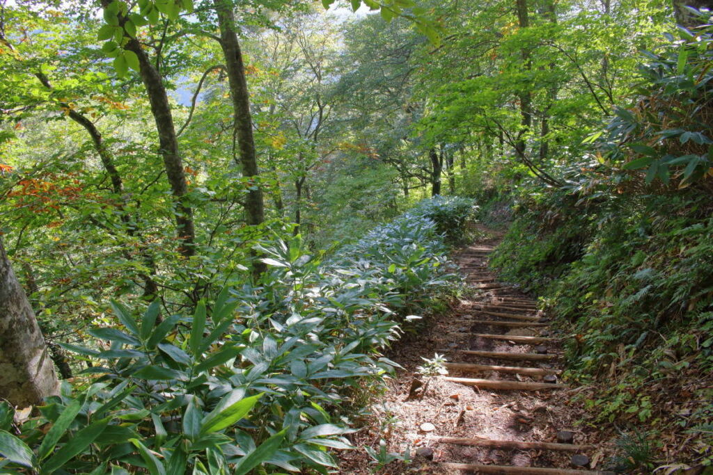 「平元新道」は階段が整備された歩きやすい登山道